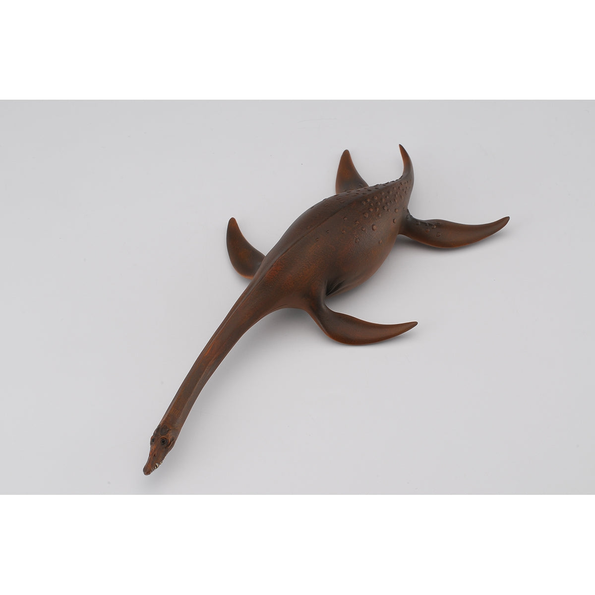 Đồ Chơi Mô Hình Động Vật Thằn Lằn Biển Attenborosaurus COLLECTA 88489