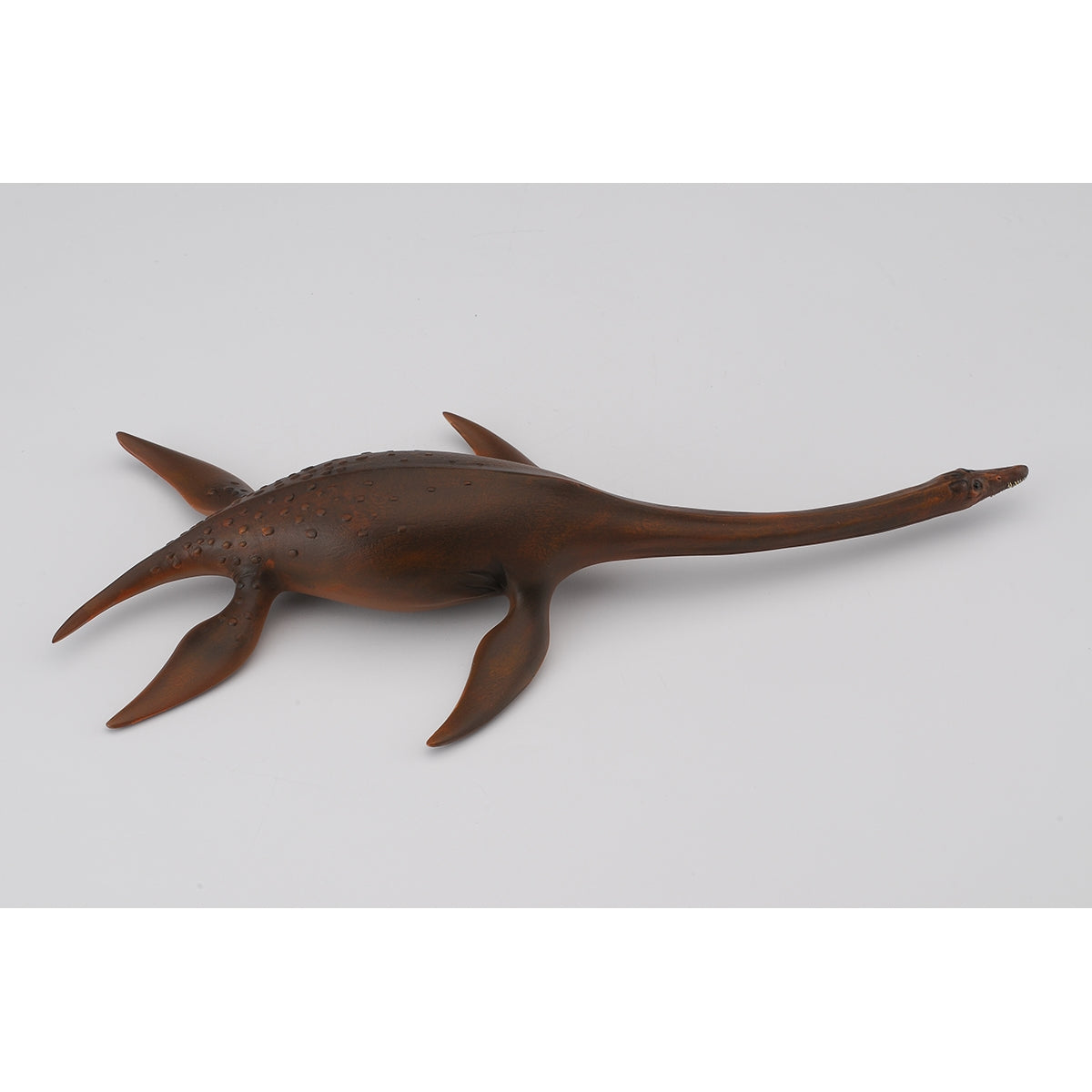 Đồ Chơi Mô Hình Động Vật Thằn Lằn Biển Attenborosaurus COLLECTA 88489