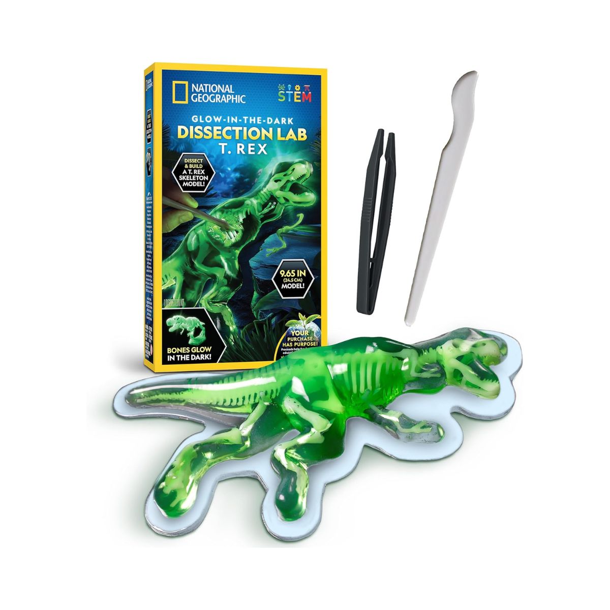 Đồ Chơi Nat Geo Bộ Giải Phẫu T-Rex Phát Sáng Trong Đêm STEAM RTNGTREXLAB