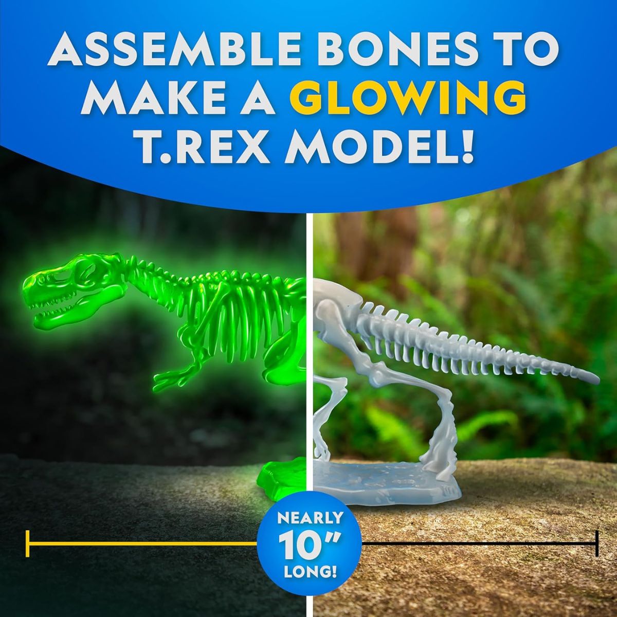 Đồ Chơi Nat Geo Bộ Giải Phẫu T-Rex Phát Sáng Trong Đêm STEAM RTNGTREXLAB