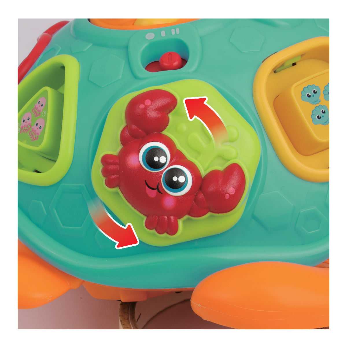 do-choi-rua-con-hoc-hinh-khoi-va-mau-sac-peek-a-boo-240301-011