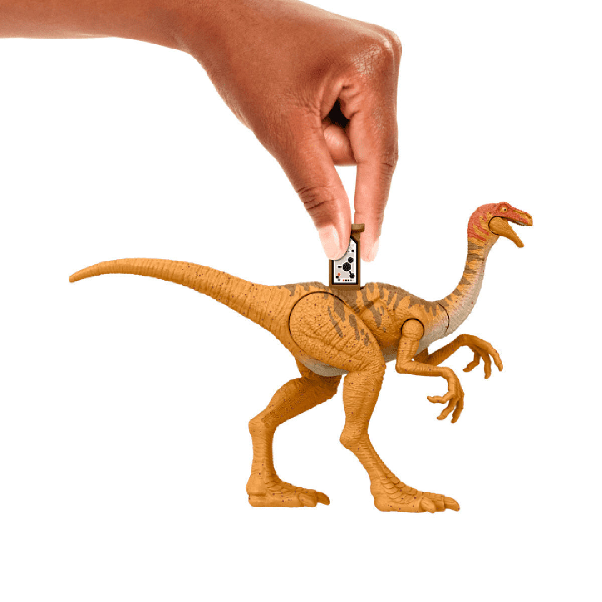 Đồ Chơi Khủng Long GALLIMIMUS (CC2) 6 Inch Có Khớp Linh Hoạt Jurassic World Mattel HLN49