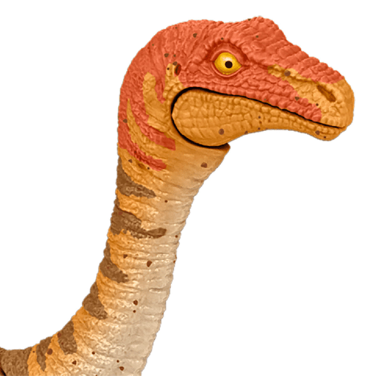 Đồ Chơi Khủng Long GALLIMIMUS (CC2) 6 Inch Có Khớp Linh Hoạt Jurassic World Mattel HLN49