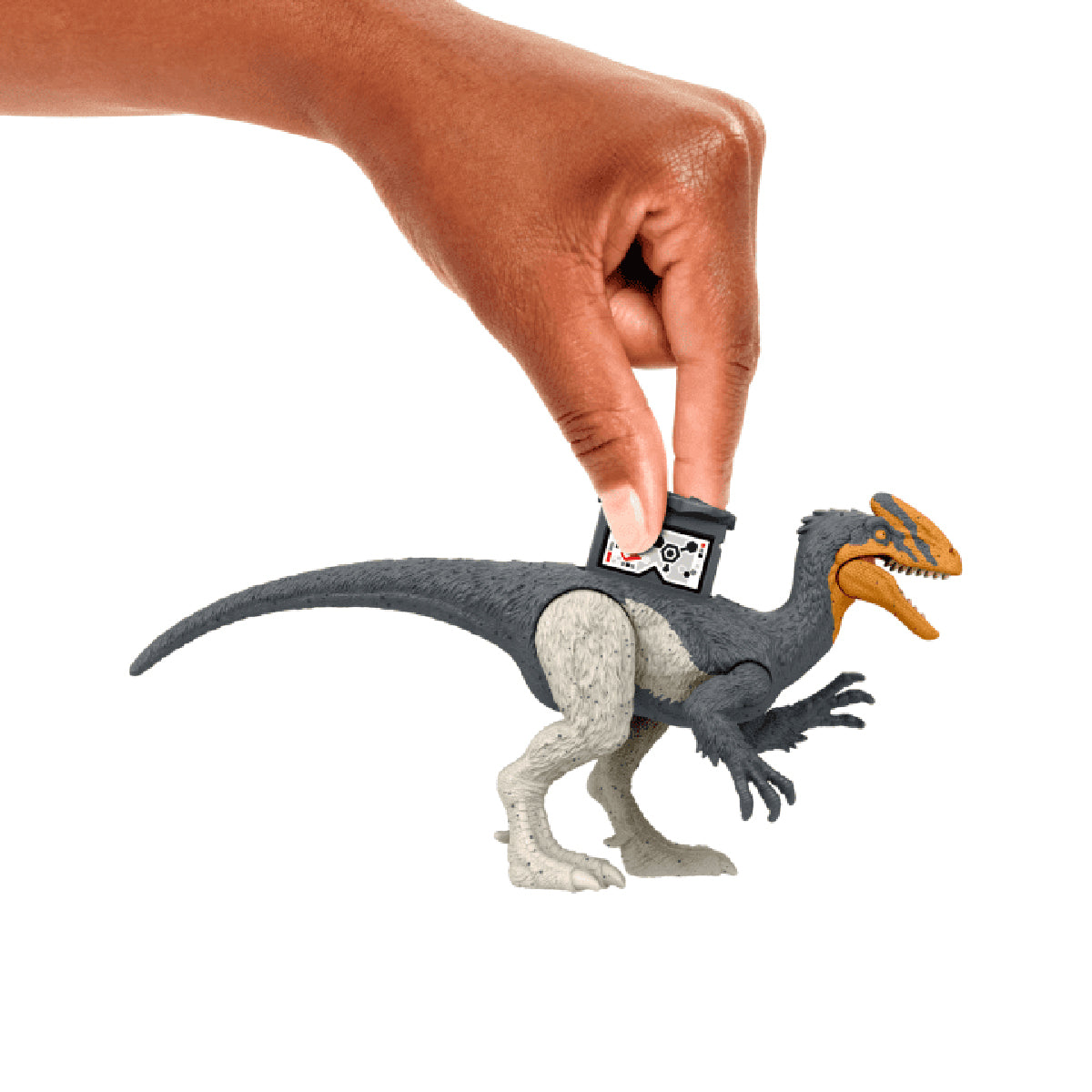 do-choi-khung-long-guanlong-lystrosaurus-6-inch-khop-linh-hoat-jurassic-world-mattel-htk55-hln49-06