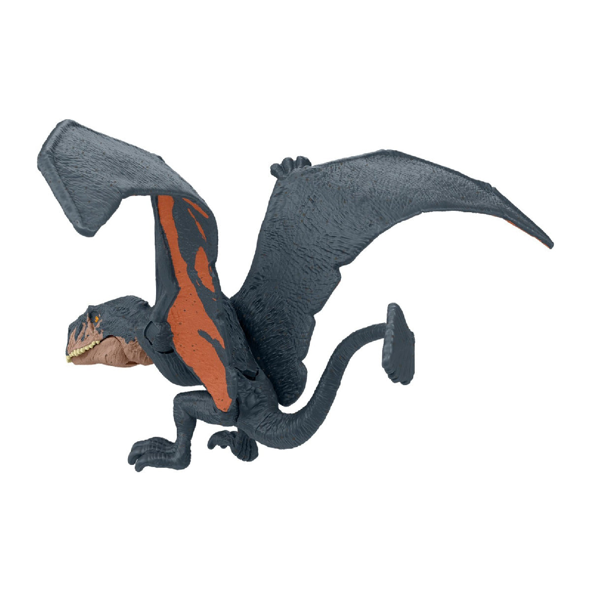 Mô Hình Khủng Long Dimorphodon 6 Inch Có Khớp Linh Hoạt JURASSIC WORLD MATTEL HLN49