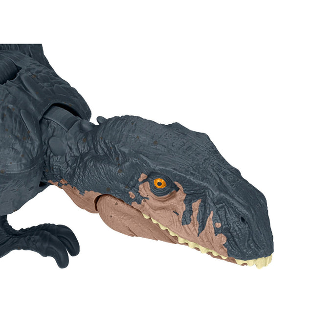 khung-long-dimorphodon-6-inch-khop-linh-hoat-jurassic-world-mattel-htk54-hln49-05