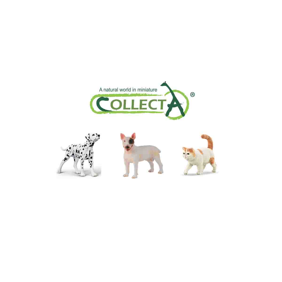 Đồ Chơi Mô Hình Động Vật Chó Sục Bò, Mèo Ba Tư, Chó Đốm COLLECTA 84308