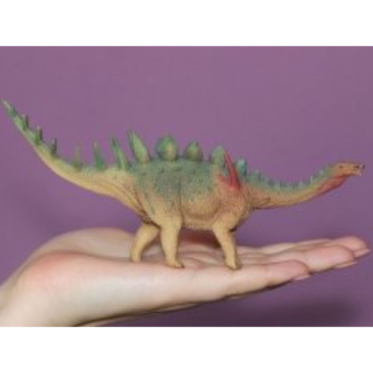 Đồ Chơi Mô Hình Động Vật Khủng Long Gai Miragaia COLLECTA 88523