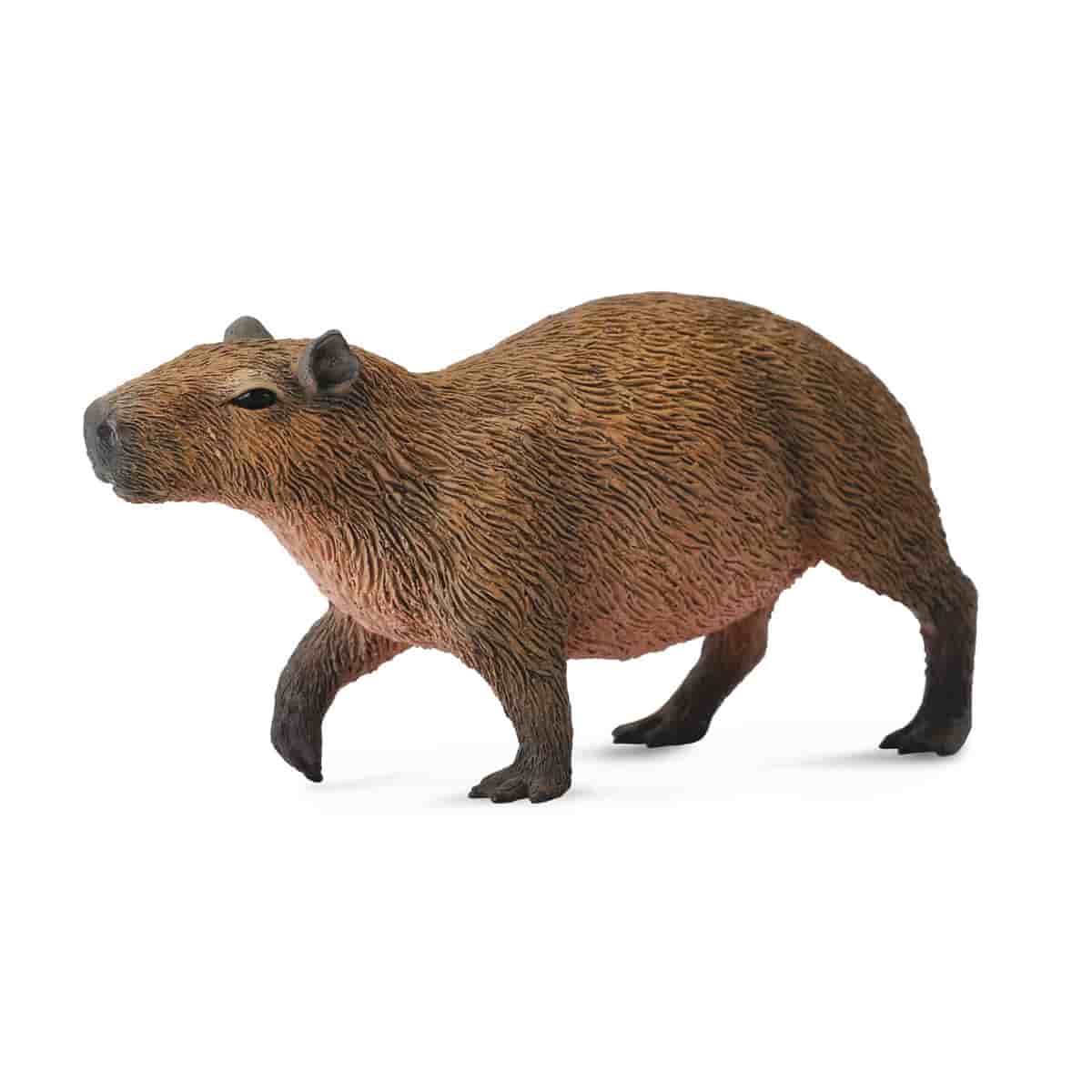 mo-hinh-dong-vat-hong-hac-capybara-con-luoi-collecta-84305-03