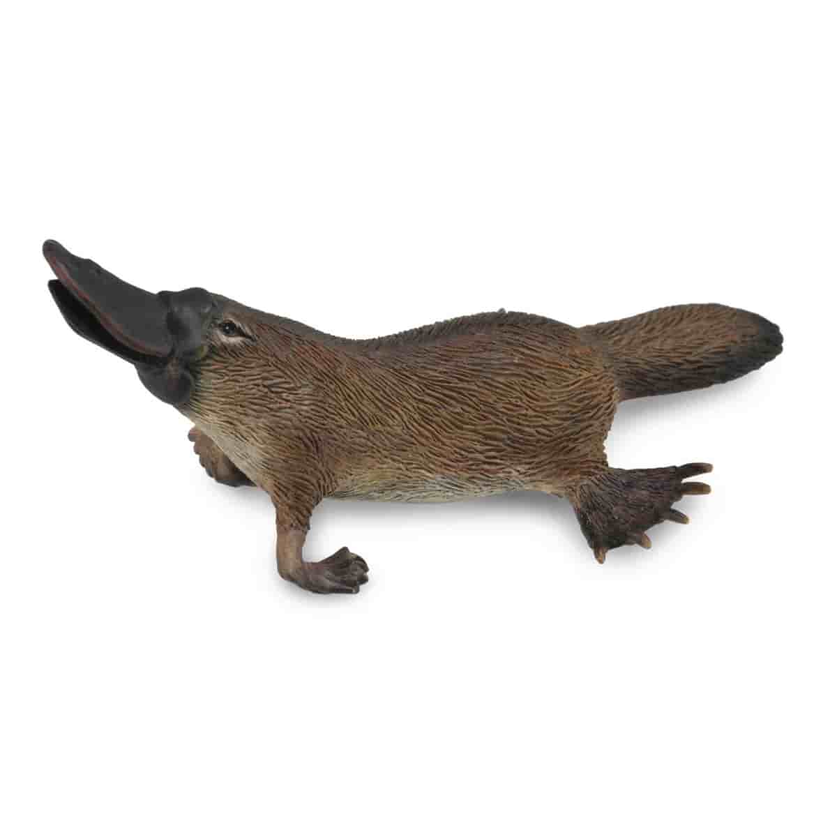 Đồ Chơi Mô Hình Động Vật Kangaroo Đỏ,Thú Mỏ Vịt,Gấu Koala COLLECTA 84306