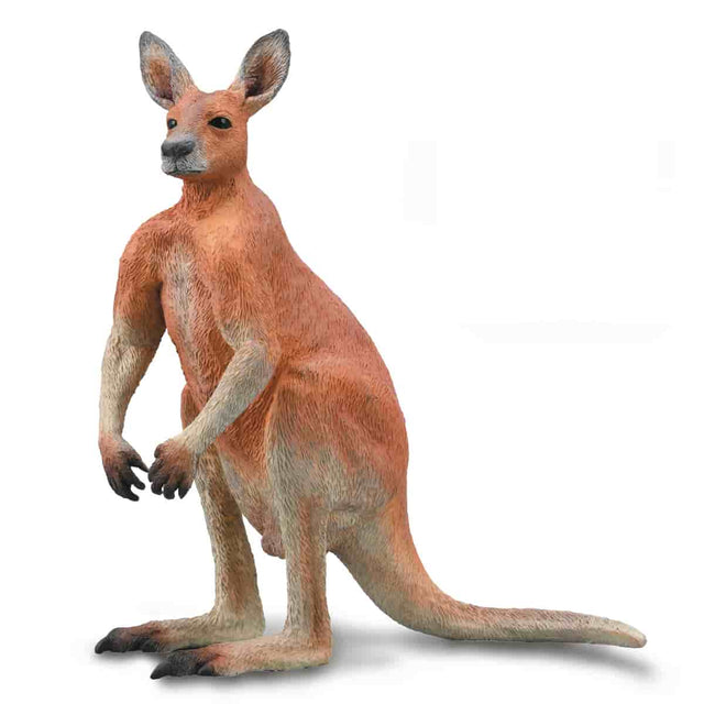 mo-hinh-dong-vat-kangaroo-do-thu-mo-vit-gau-koala-collecta-84306-05