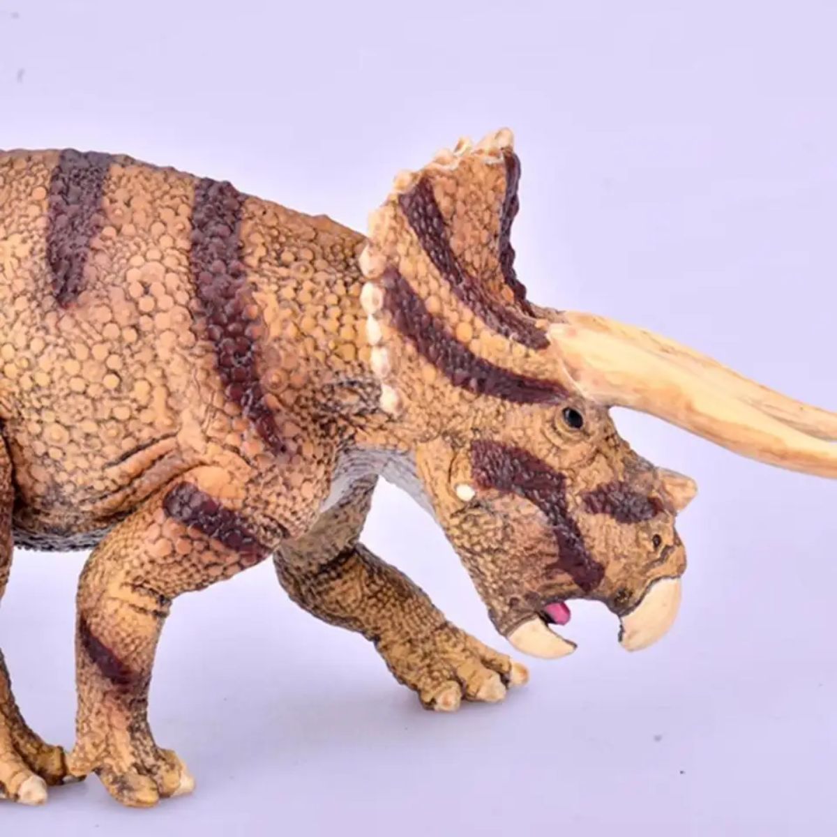 Đồ Mô Hình Động Vật Khủng Long Ba Sừng Triceratops COLLECTA 88969