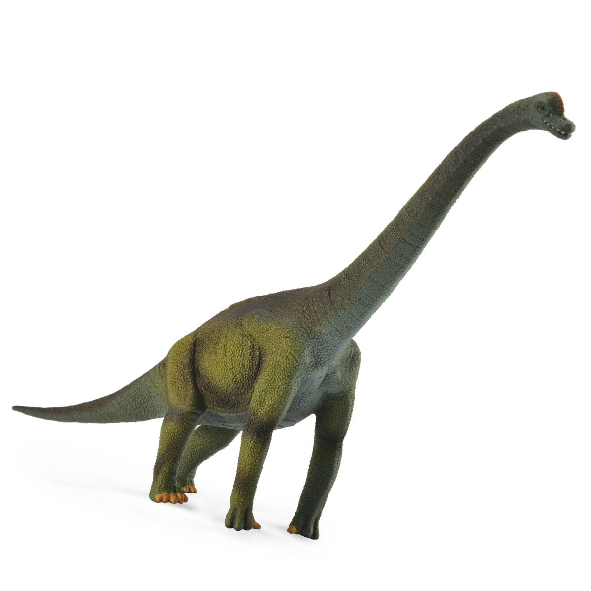 Đồ Chơi Mô Hình Động Vật Khủng Long Cổ Dài Brachiosaurus COLLECTA 88121