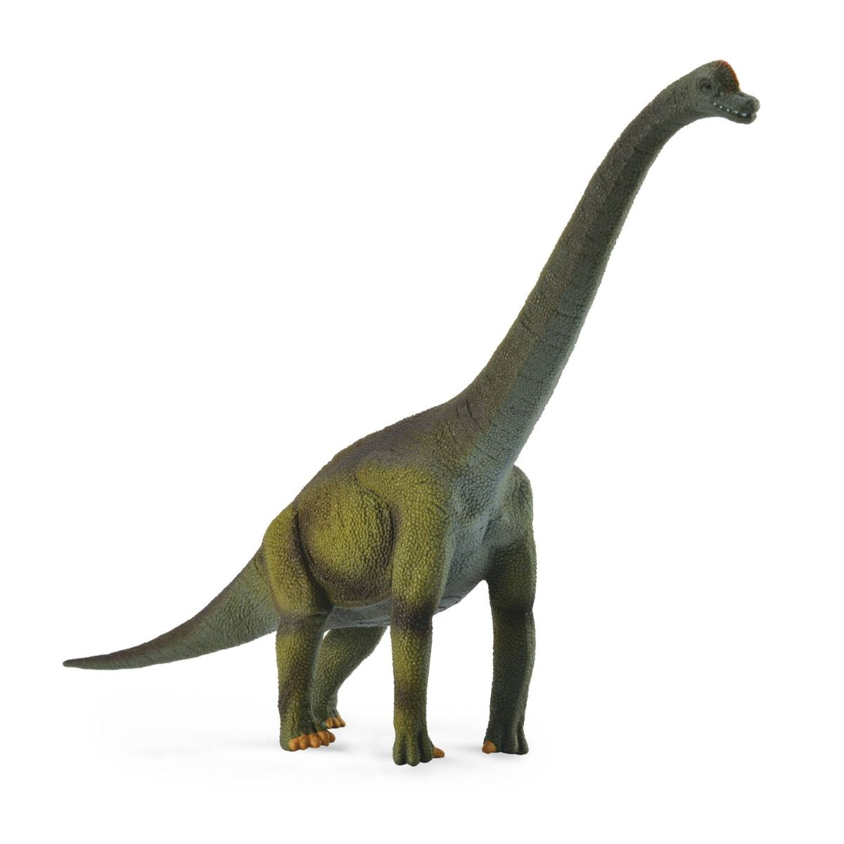 mo-hinh-dong-vat-khung-long-co-dai-brachiosaurus-collecta-88121-01