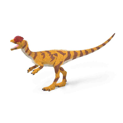 mo-hinh-dong-vat-khung-long-hai-mao-dilophosaurus-collecta-88923-01