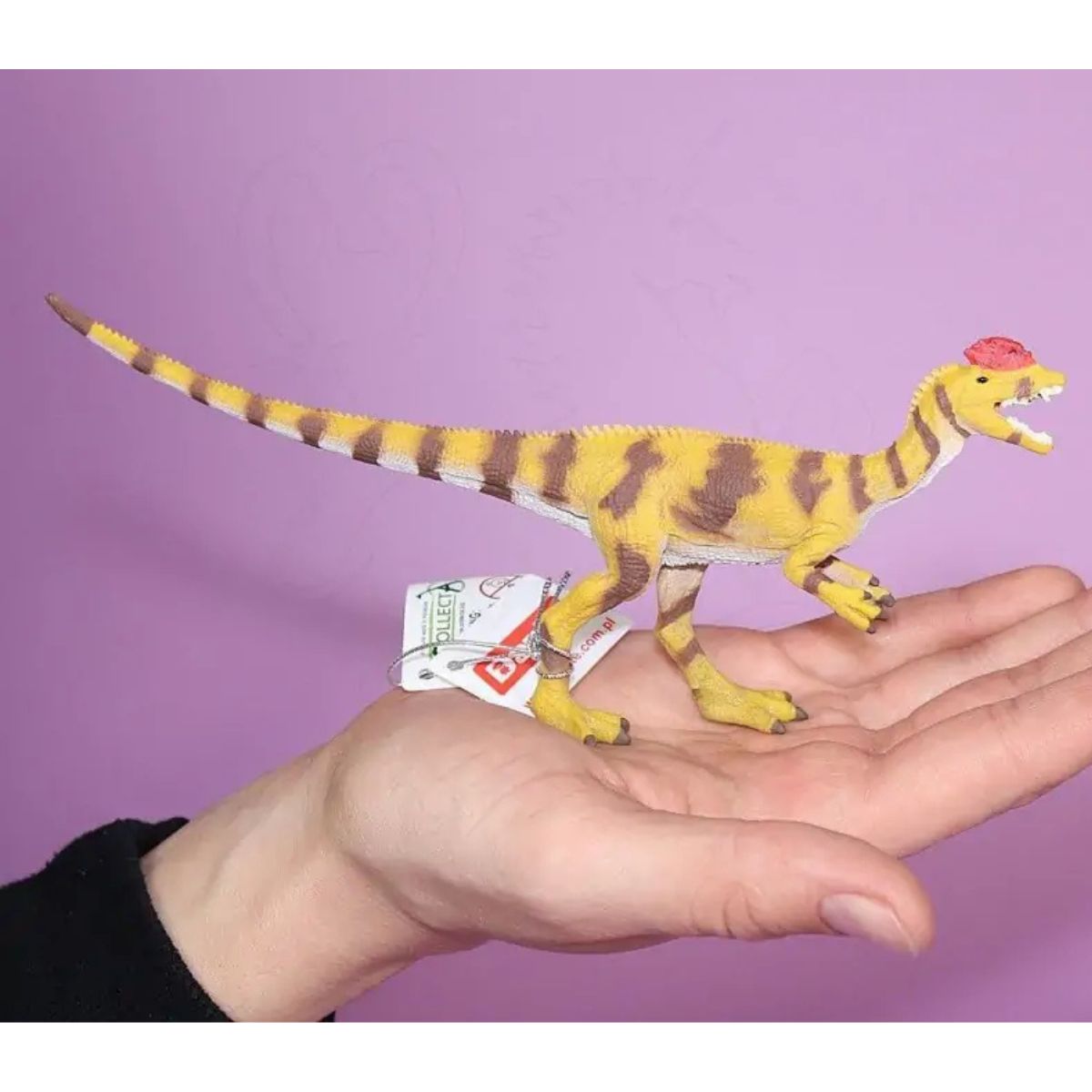 Đồ Chơi Mô Hình Động Vật Khủng Long Hai Mào Dilophosaurus COLLECTA 88923