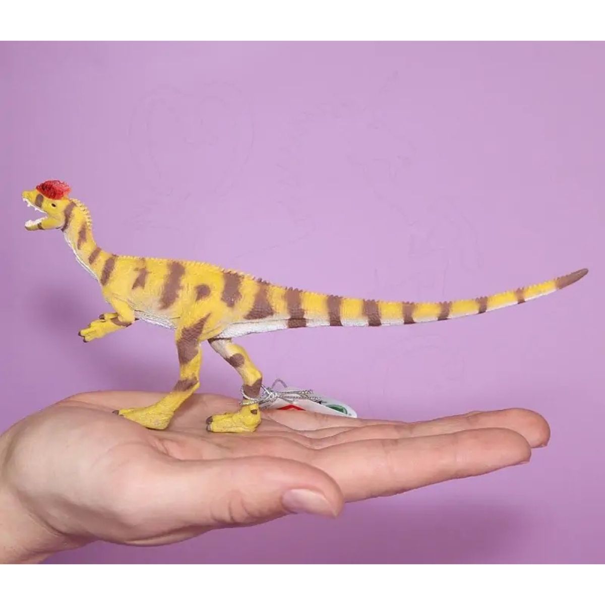 Đồ Chơi Mô Hình Động Vật Khủng Long Hai Mào Dilophosaurus COLLECTA 88923