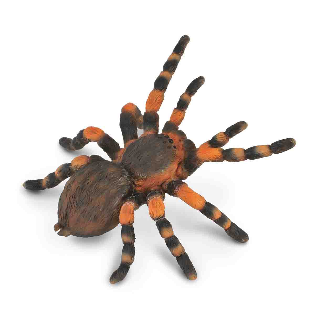 Đồ Chơi Mô Hình Động Vật Nhện Tarantula Mexico, Bọ Cạp Vàng COLLECTA 89607