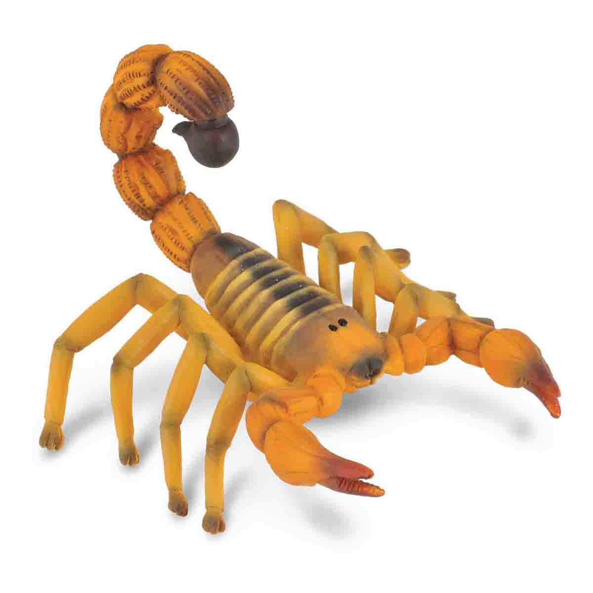 Đồ Chơi Mô Hình Động Vật Nhện Tarantula Mexico, Bọ Cạp Vàng COLLECTA 89607