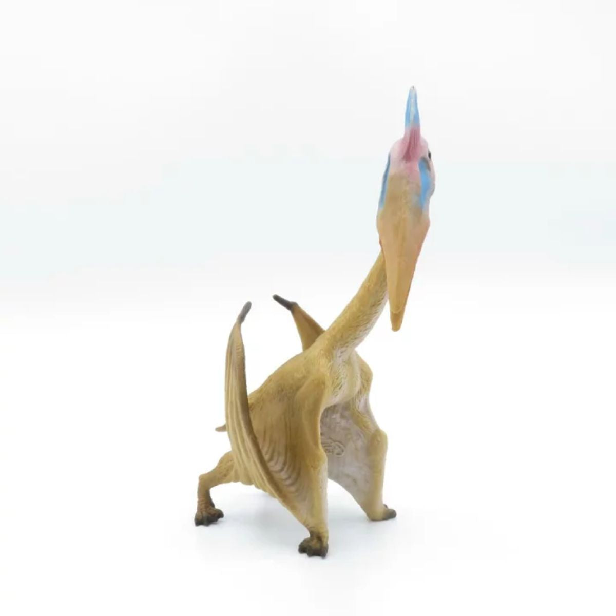 mo-hinh-dong-vat-than-lan-bay-hatzegopteryx-collecta-88441-03