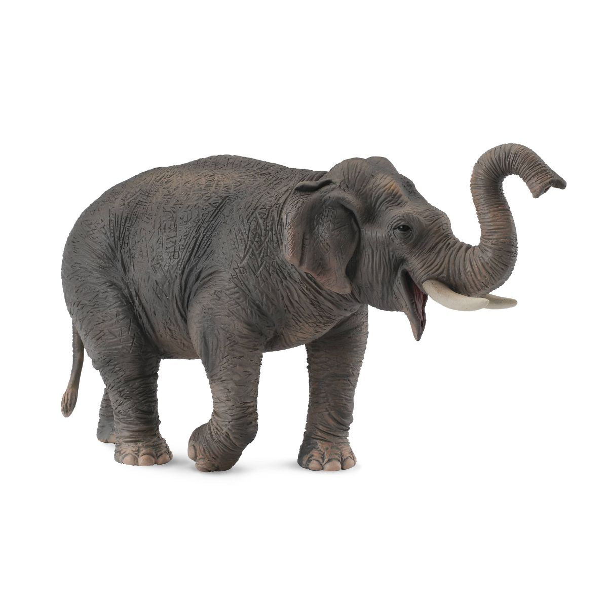 mo-hinh-dong-vat-voi-chau-a-collecta-88486-01
