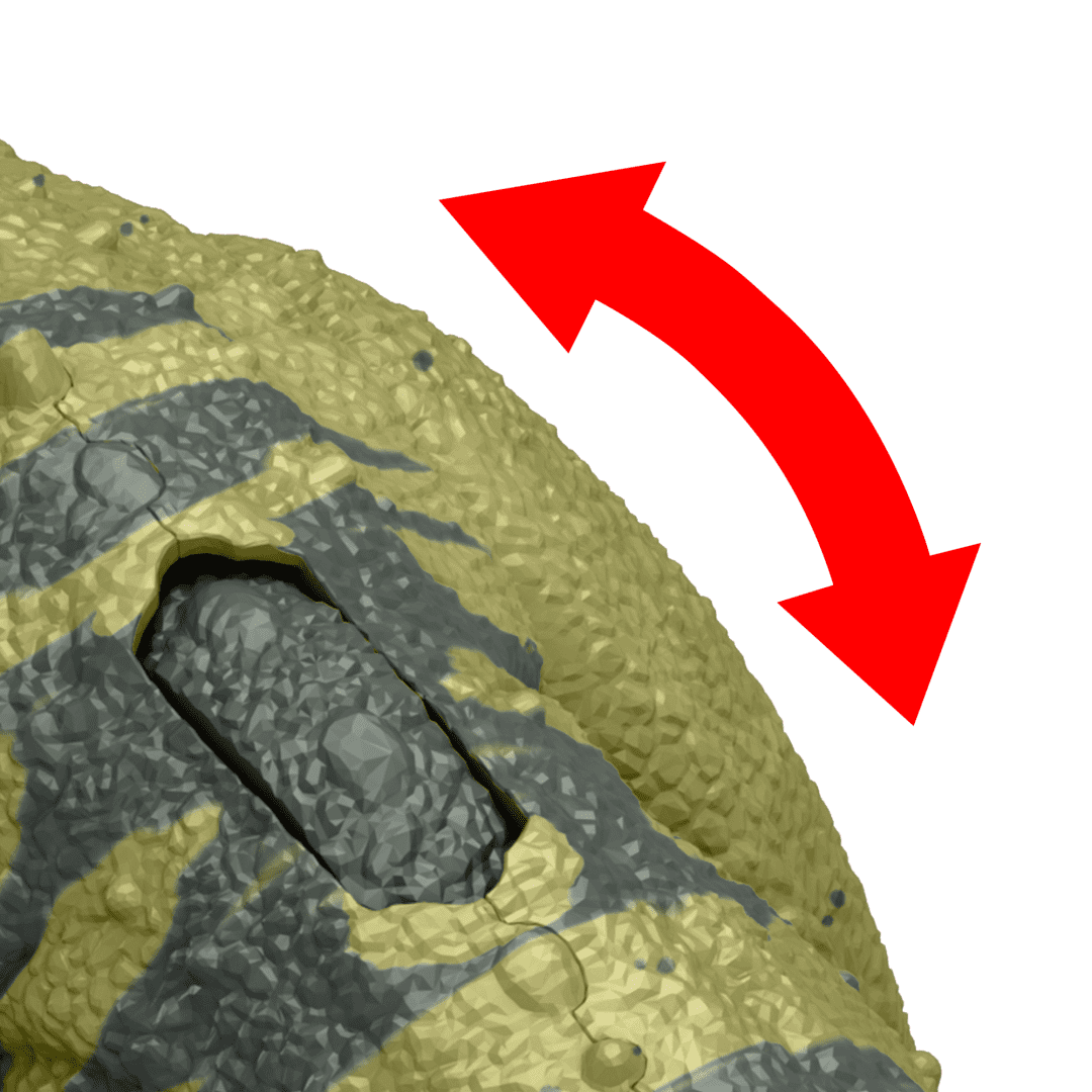 mo-hinh-khung-long-ceratosaurus-co-am-thanh-jurassic-world-mattel-hlp14-htk74-06