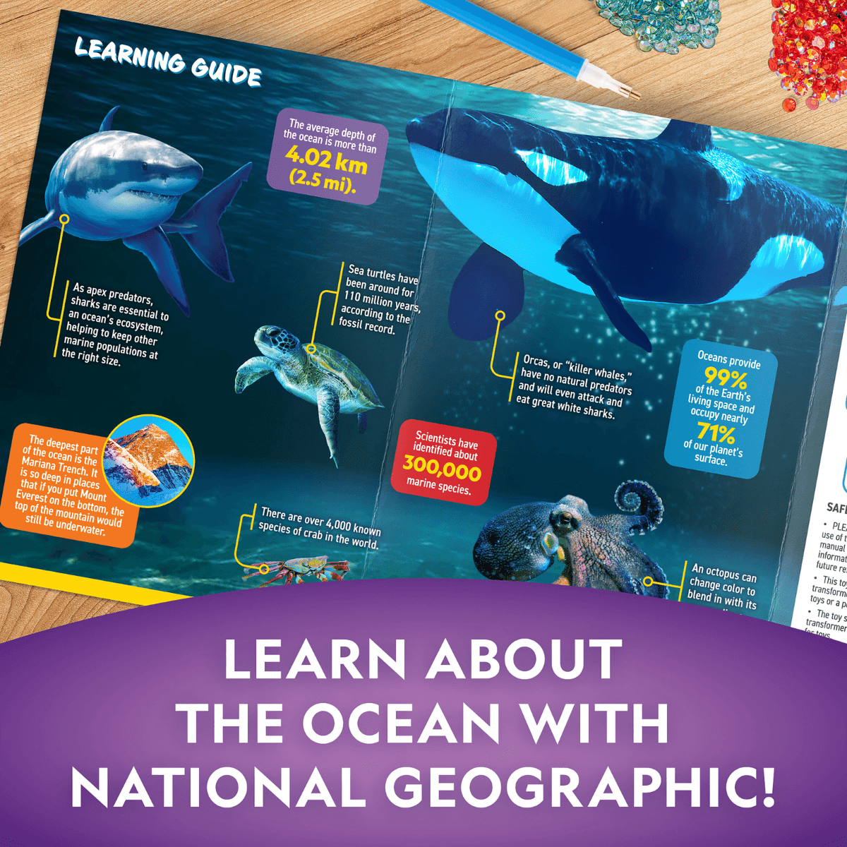 nat-geo-den-chieu-ban-dem-dai-duong-steam-rtoceanlt-05