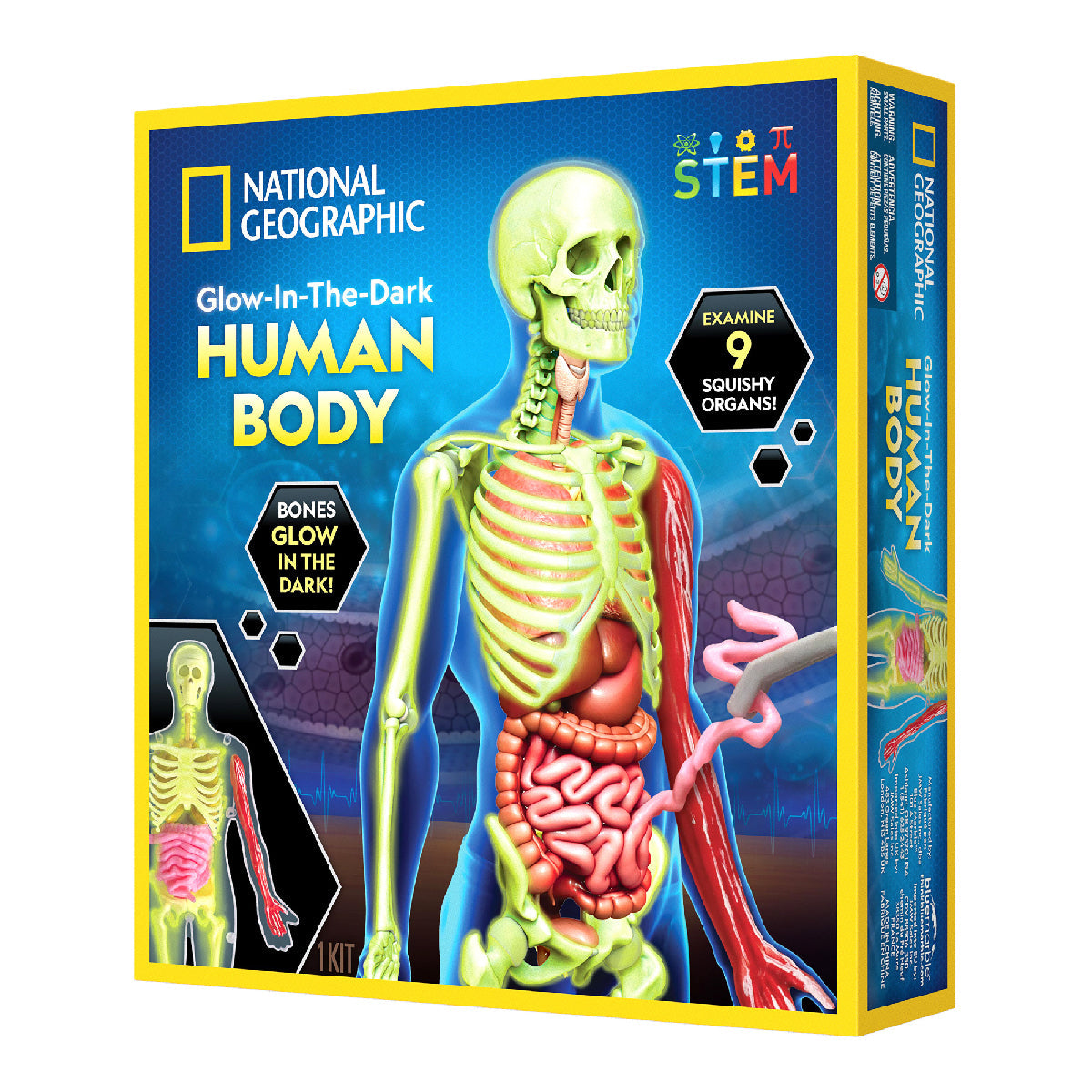 Nat Geo Khám Phá Bộ Phận Cơ Thể Người STEAM RTHUMBODY