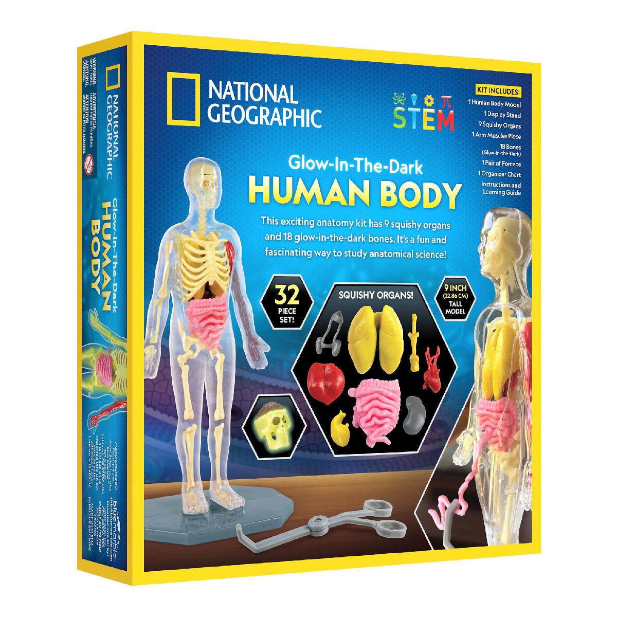 Nat Geo Khám Phá Bộ Phận Cơ Thể Người STEAM RTHUMBODY
