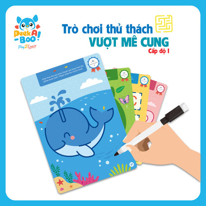 do-choi-thu-thach-vuot-me-cung-cap-do-1-pab042-1-04