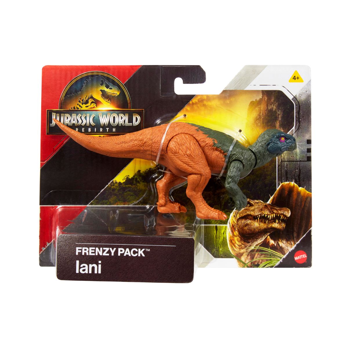 Đồ Chơi Mô Hình SaGa Khủng Long Aini Smithi Có Khớp Linh Hoạt JURASSIC WORLD MATTEL JGB72