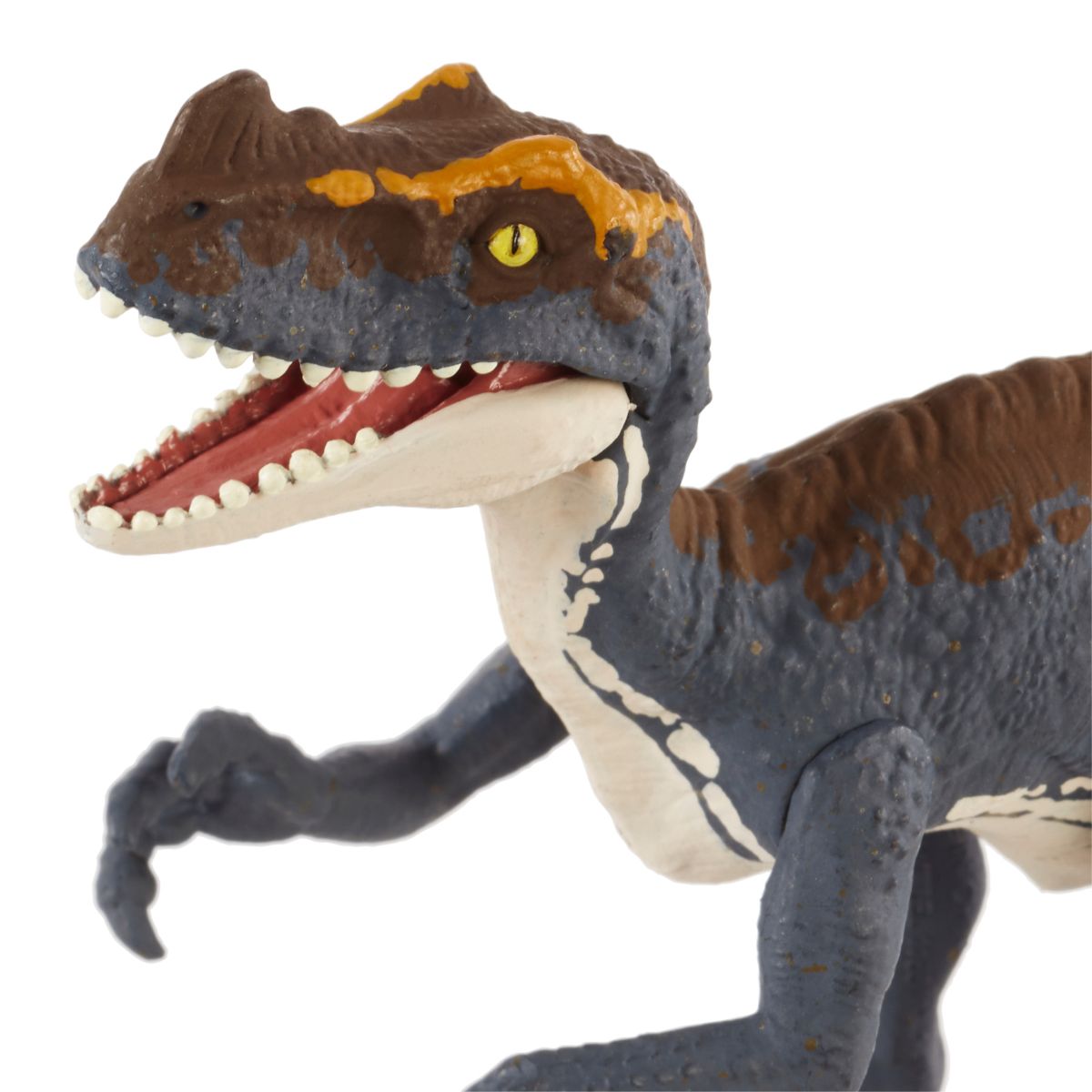 Đồ Chơi Mô Hình SaGa Khủng Long Proceratosaurus Có Khớp Linh Hoạt JURASSIC WORLD MATTEL JCL55/JGB72